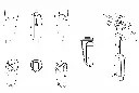 Autodispenser 6L.webp