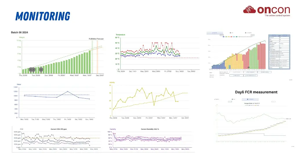 monitoring 2.webp