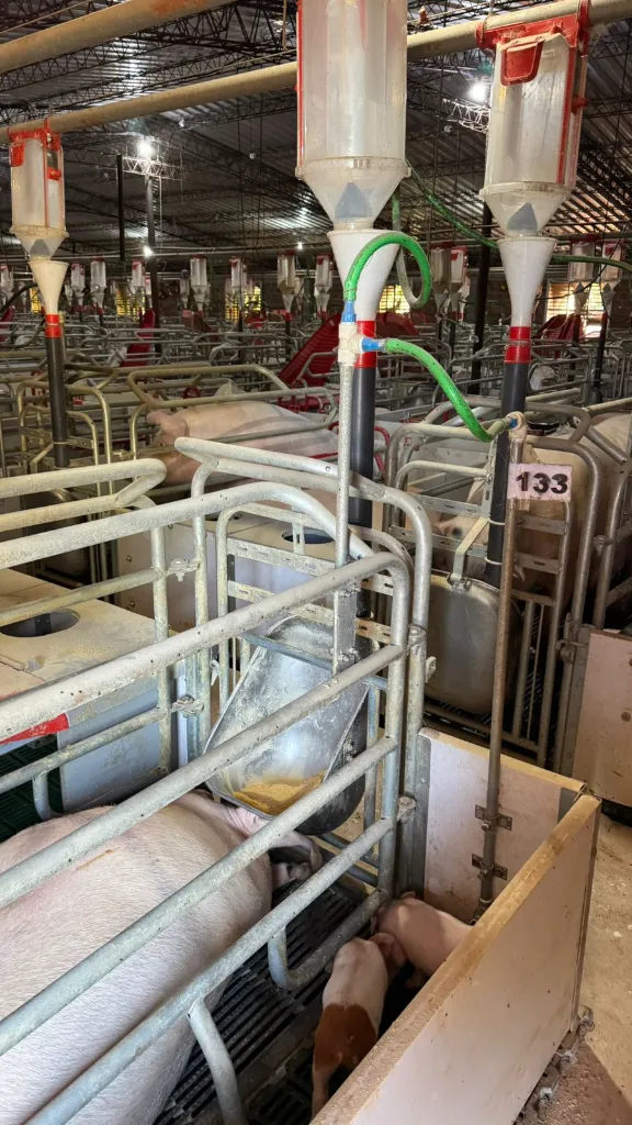 WhatsApp Image 2026-02-06 at 08.40.43 (2).webp