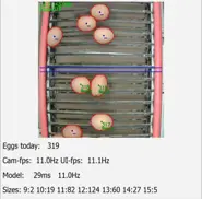 AutoEgg Basic Automatic egg counting