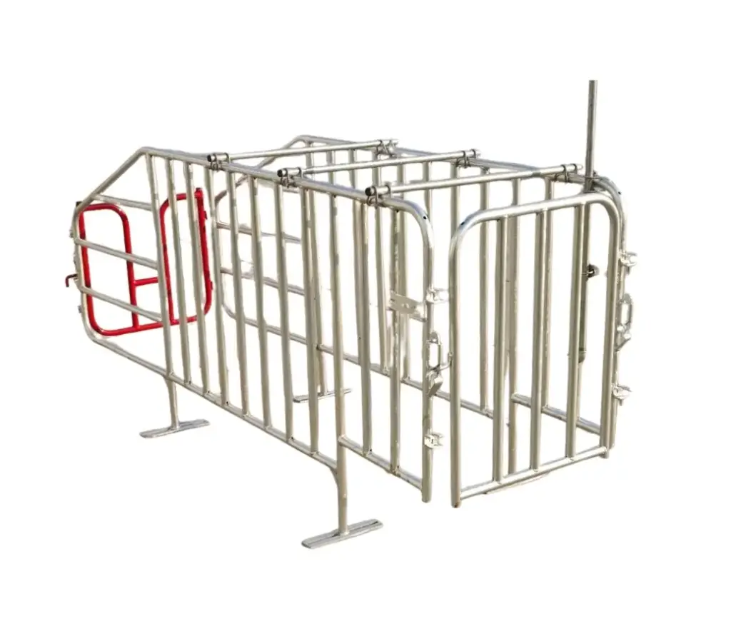 Gestation Penening   - basic