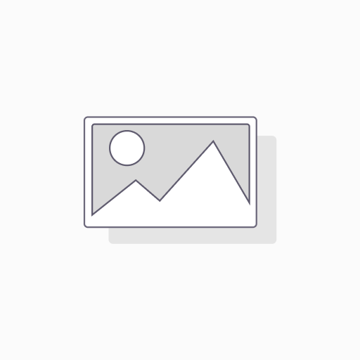[1.07.02.501] ChainLink 160